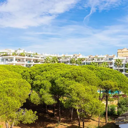 דירה Mi Capricho Beachfront Penthouse, P12 5a *